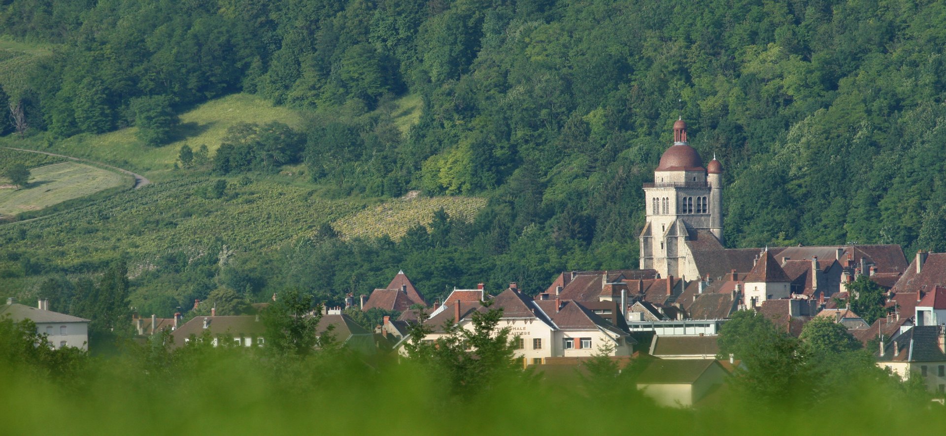 Vue panoramique sur Poligny, capitale du Comté, dans le Jura